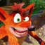 bandicoot