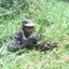 Ugandan Commando