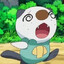 Oshawott Enjoyer
