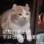 肥宅