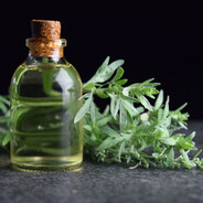 wormwood(caber gang)