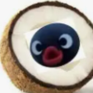 CocoNootNoot