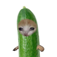 dillpkl