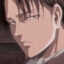 Levi