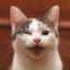 ϟ vAte-