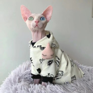 藏进风里的欢喜