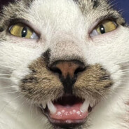 eleonora-morozova-1970