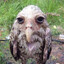 birby