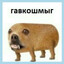 Гавкошмыг