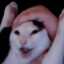 Meme Simulator