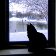 拖拖拖拖拖拉机