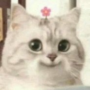 homikus - steam id 76561199039682793
