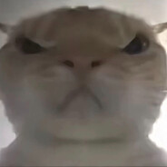 只是不由得做了个短暂的梦