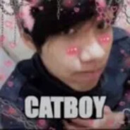 CatBoy3441