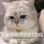 拿馍烙个炊饼
