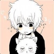 花开不败的夏天°