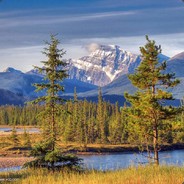 历尽山河仍觉人间值得