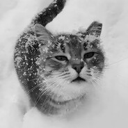 гейб сын шлюхи