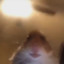 lik.