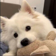 避太阳就在屋里弄吊顶