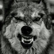 BathroomRusher1.0 avatar