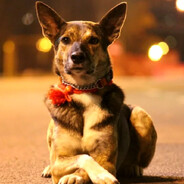 Элеонора Андреевна