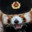 Normal Panda