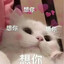 白狐公主