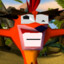 bandicoot_gaming