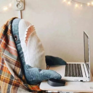 精油开背，一百一位