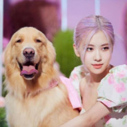 กูบอกไม่ไหวไงเยดแม่