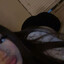 kudlaty_980