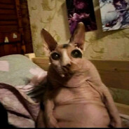 Kryil - steam id 76561198880171658