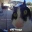 fimoz's avatar
