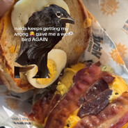 tgey put a wet bird on my burge