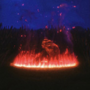 我对女人不感兴趣