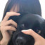 鱼