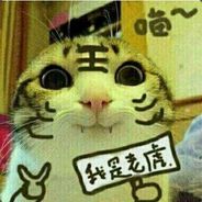 豆子鼓励猪