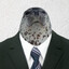Mr.Seal