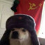 Perro comunista ☭