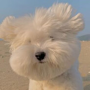 클랄라레로클랄랄라