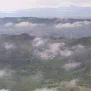 歪着脖子玩游戏