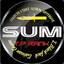 @sum@ ™