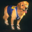 Air Bud