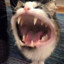 Demon
