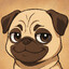 Pug