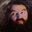 Rubeus Hagrid