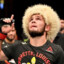 khabib