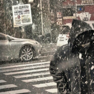 国民男神李嘉图