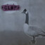 GLHF Goose